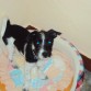  4 meses